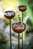 3er Set Regenfänger Gartenstecker Rost Insektentränke Produktbild-Vorschau 1
