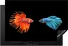 KitchenYeah© Herdabdeckplatte Fische - Wilde Tiere - Produktbild-Vorschau 1