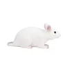 Terrain agricole Mojo Muis - 387235 Voir les images du produit 4