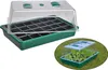 A mini-greenhouse with multiple seed cells and a clear lid, shown on a white background. A smaller inset image shows the greenhouse with young plants growing inside on grass. Anteprima dell’immagine prodotto