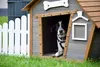 cuccia per cani da esterno dobar con tetto a punta e Anteprima dell’immagine prodotto 7