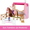 Poupée Barbie avec un cheval et une écurie MATTEL HXJ44 Voir les images du produit 11