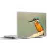 MuchoWow® Laptop Aufkleber Sticker Cover Vogel - Eisvogel - Produktbild-Vorschau 1