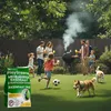 ECODECO Trávne semeno pre šport a hry – rýchlo klíčivé Náhľad obrázku produktu 5