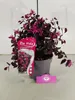 A potted Loropetalum chinense 'Ever Red'® plant with a pink tag. Voir les images du produit