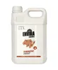 A white plastic jug of Envira Biocides Spinnenspray. Produktbild-Vorschau