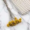 Craspedia - (Natürliche Extra Craspedia) - Bouquet mit 15 Produktbild-Vorschau 6