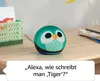 An owl-themed Amazon Echo Dot Kids device sits on a wooden desk next to a green crate. A speech bubble with a question for Alexa is displayed below. Produktbild-Vorschau