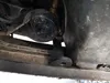 Oceľový ochranný kryt podvozku pre Škoda Octavia 1 motor Náhľad obrázku produktu 8