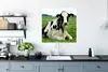 MuchoWow® Poster Kuh - Friesland - Tier 75x75 cm - Wand Produktbild-Vorschau 3