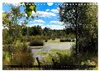 Lüneburger Heide (Wandkalender 2027 DIN A4 quer), CALVENDO Produktbild-Vorschau 8