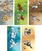 Zoomies Brettspiel ENG Edition – Strategisches Spiel für Produktbild-Vorschau 3