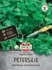 Sperli Petersilie Giant Of Naples - Giant Of Italy - Podgląd zdjęcia produktu 1