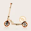 Lionelo Luca Roller Kinder Tretroller bis 100kg Räder 200mm Produktbild-Vorschau 13