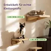 Knupis Katzen Kletterwand Set mit Katzenbett & 2X Produktbild-Vorschau 2