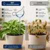 Bewässerungskugeln 2er Set Vögel Glas Gießkugeln Produktbild-Vorschau 2