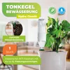BioGreen Tonkegelbewässerung für Pet Flaschen "Hydro Produktbild-Vorschau 2