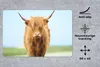 MuchoWow® Schreibtischunterlage Schottischer Highlander - Produktbild-Vorschau 2
