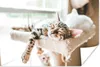 MuchoWow® Poster Schlafende Katzen auf einem Kratzbaum Produktbild-Vorschau 1