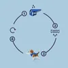 A circular diagram illustrating the steps for using a dog cooling vest. Produktbild-Vorschau