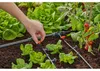 Gardena 13302-20, Tropfer, Tropfbewässerungssystem, Produktbild-Vorschau 15
