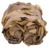vidaXL Filet de camouflage avec sac de rangement 525x205 cm Voir les images du produit 8