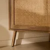 CALICOSY - Meuble TV d'angle 1 porte avec façade en rotin Voir les images du produit 5