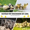 Kükenstall Starter Set faltbar, Küken Gehege mit Deckel, Produktbild-Vorschau 6