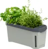 Gusta Garden HARRY HERBS samozavlažovací truhlík s víkem Náhled obrázku produktu 21