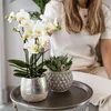 Vaso da fiori Elite argento Ø12cm - coprivaso in Anteprima dell’immagine prodotto 3