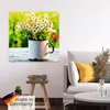 ARTland Poster Frühlingsgarten mit Echter Kamille Größe: Produktbild-Vorschau 5