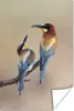 MuchoWow® Poster Vogel - Insekt - Freunde 80x120 cm - Produktbild-Vorschau 1
