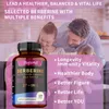Berberine + Ceylon Cinnamon, Milk Thistle (120 Kapseln) Produktbild-Vorschau 6
