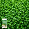 Graines de gazon avec micro-trèfle Pipolina, 10 kg pour 400 Voir les images du produit 2