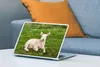 MuchoWow® Laptop Aufkleber Sticker Cover Schafe - Tiere - Produktbild-Vorschau 4