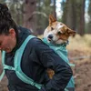 Ruffwear Hunderucksack Hitch Hiker Dog Backpack Carrier Produktbild-Vorschau 5