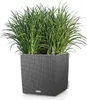 LECHUZA Pot de fleurs CUBE Cottage 50 Granit | Pot de Voir les images du produit 15