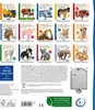 Hör mal rein, wer kann das sein? - Im Ozean Produktbild-Vorschau 6