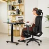 A woman is sitting at a desk and working on a laptop in an office environment. Produktbild-Vorschau