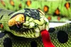 Cornelissen - Peluche - Serpente anaconda - 145 cm di Anteprima dell’immagine prodotto 2
