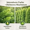 Koniferendünger 20kg NPK 5-9-12 Thuja Hecke Zypresse Produktbild-Vorschau 3
