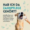 nimo® Zahnpflegespray Dentalspray | für Hunde, Katzen & Produktbild-Vorschau 2