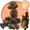 Animille, panse de bœuf séchée, 500g, friandises naturelles Voir les images du produit 4
