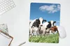 MuchoWow® Mauspad Mousepad Kühe - Landleben - Weide - Natur Produktbild-Vorschau 5