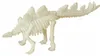Set di scavo per scheletri di dinosauro con scalpello e Anteprima dell’immagine prodotto 17