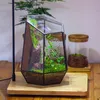 Terrarium géométrique en verre avec aération - Jardinière Voir les images du produit 5