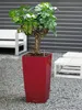 LECHUZA-Pot de fleurs CUBICO Premium 30 Scarlet Rouge Voir les images du produit 4