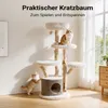Fudajo Bosboom, krabpaal 146 cm, natuurlijke uitstraling, Productafbeelding-voorbeeld 7