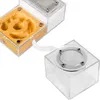 Ant Expert New Land - Modulo Arena per il formicarium Ant Anteprima dell’immagine prodotto 3