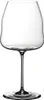 A clear, professional studio shot of a single wine glass. Produktbild-Vorschau